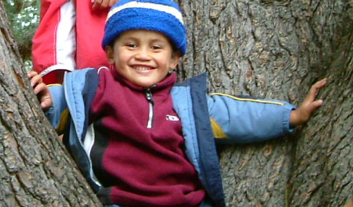 Childrens-ward-Child-smiling-in-tree.jpg