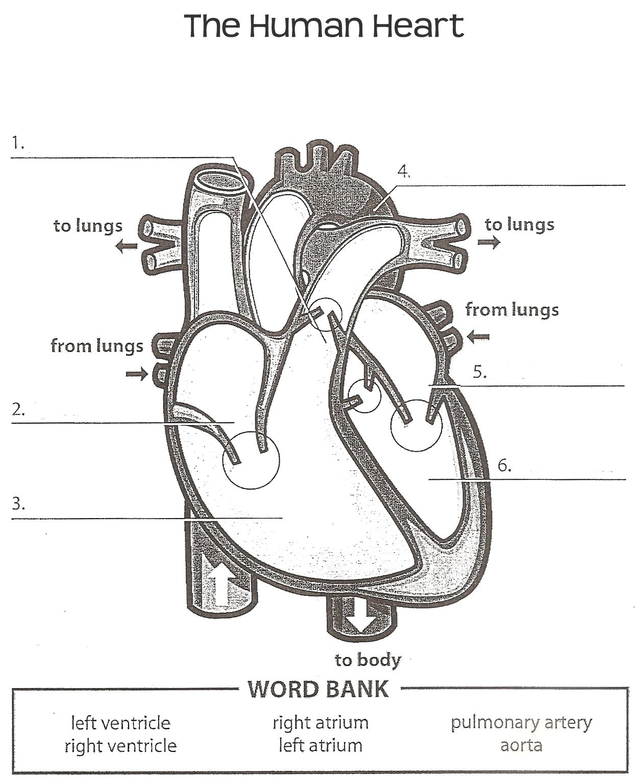 heart labels