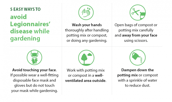 5 steps to avoid Legionnaires’ disease while gardening: Wash your hands; Open bags of compost or potting mix carefully  and away from your face using scissors; Avoid touching your face.  If possible wear a well-fitting disposable face mask and gloves but do not touch your mask while gardening; Work with potting mix  or compost in a well-ventilated area outside; and Dampen down the  potting mix or compost with a sprinkle of water  to reduce dust.
